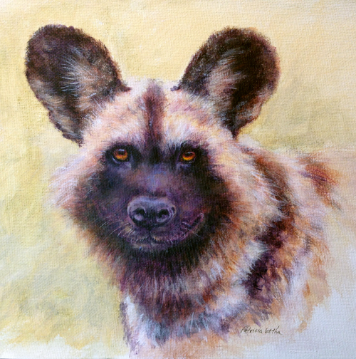 Day 3 African Wild Dog